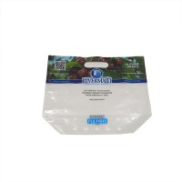 clear plastic printed  ziplock  reclosable bags for grapes and fruits